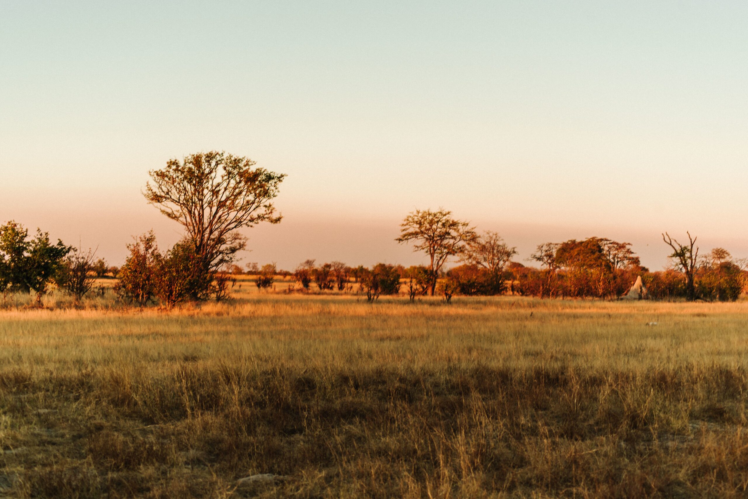 Sunset falling in the evening during a game drive in Hwange National Park, Zimbabwe