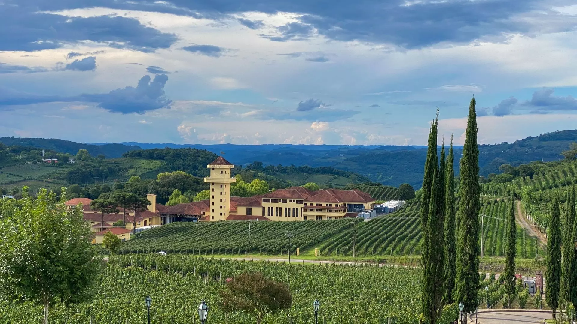 vale-vinhedos-miolo